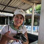 ���������� ������, ���� ������� �����, 55 ���, ������������ ��� ����� � ���������, c�������� ���������