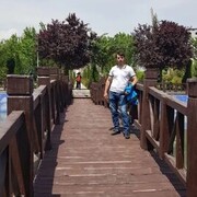 ���������� ������������, ���� ������� ����, 37 ���, ������������ ��� ������, ����� � ���������