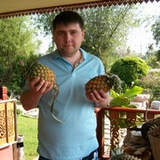  ,   , 39 ,   