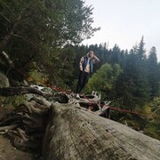  ,   , 34 ,   ,   