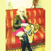 ���������� �����-���������, ���� ������� ��������, 41 ���, ������������ ��� ����� � ���������, c�������� ���������