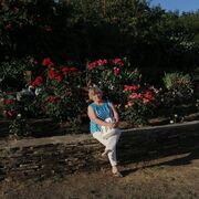  ,   , 66 ,     