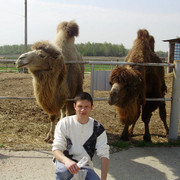 ���������� ���������, ���� ������� ����, 42 ����, ������������ ��� ������, ����� � ���������, c�������� ���������