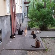 ���������� �����-���������, ���� ������� �����, 26 ���, ������������ ��� ������, ����� � ���������, c�������� ���������, ���������