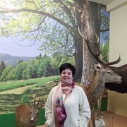  ,   , 65 ,   ,   
