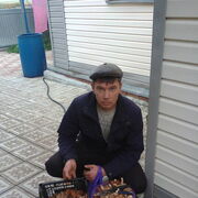 ���������� ���, ���� ������� �����, 48 ���, ������������ ��� c�������� ���������, ���������