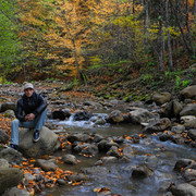 ���������� ���������, ���� ������� ������, 45 ���, ������������ ��� ������, ����� � ���������, c�������� ���������