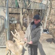  ,   , 43 ,   