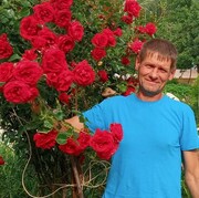 ���������� �����-���������, ���� ������� ��������, 55 ���, ������������ ��� ������, ����� � ���������, c�������� ���������, ���������