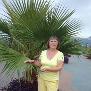  ,   , 61 ,  