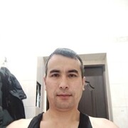 ���������� �����-���������, ���� ������� Sardor, 38 ���, ������������ ��� ����� � ���������