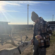 ���������� ��������, ���� ����� ������, 25 ���, ������������ ��� ������, ����� � ���������