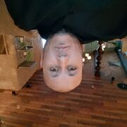 ���������� ������, ���� ������� ������, 40 ���, ������������ ��� ������, ����� � ���������