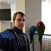  ,   , 31 ,   ,   , c 