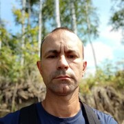 ���������� �������, ���� ������� ����, 42 ����, ������������ ��� ������, ����� � ���������