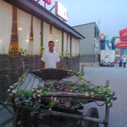 -,   , 44 ,   ,   , c 