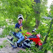 ���������� ��������, ������� ����, 29