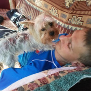 ���������� ������, ���� ������� �������, 42 ����, ������������ ��� ����� � ���������, c�������� ���������