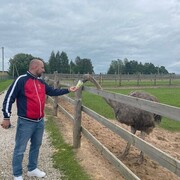 ���������� ����, ���� ������� ����������, 36 ���, ������������ ��� ������, ����� � ���������, c�������� ���������