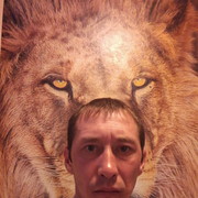 ���������� ���������, ���� ������� �����, 42 ����, ������������ 