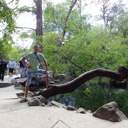 ���������� ����, ���� ������� ˸���, 38 ���, ������������ ��� ����� � ���������, c�������� ���������