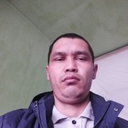  -,  , 43