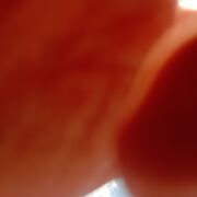 ���������� ����������, ���� ������� �����, 36 ���, ������������ ��� ������, ����� � ���������, c�������� ���������