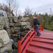 ���������� ���������, ���� ������� �����, 43 ����, ������������ ��� ������, ����� � ���������, c�������� ���������