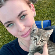 ���������� ����-������, �����