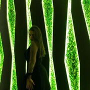 ���������� ������, ����