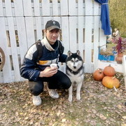 ���������� ������, ���� ������� David, 29 ���, ������������ ��� ������, ����� � ���������, c�������� ���������