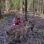 ���������� ������, ���� ������� �������, 25 ���, ������������ ��� ������, ����� � ���������