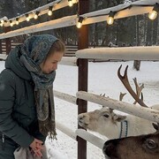 ���������� �����, ���� ������� �������, 35 ���, ������������ ��� c�������� ���������