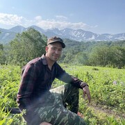 ���������� ������, ���� ����� ������, 20 ���, ������������ ��� ������, ����� � ���������