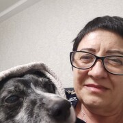  ,   , 61 ,   c , 
