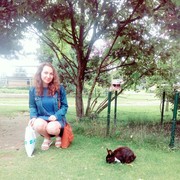  ,   , 29 ,  