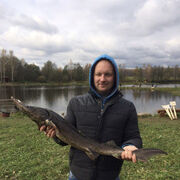 ���������� ������, ���� ������� ����, 37 ���, ������������ ��� ������