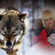 ���������� ������, ���� ������� Goga, 37 ���, ������������ ��� ������, ����� � ���������, c�������� ���������