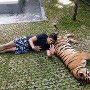 ���������� �������, ���� ������� ���������, 40 ���, ������������ ��� ����� � ���������, c�������� ���������