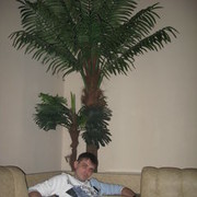  ,   Timon, 42 ,     , c 