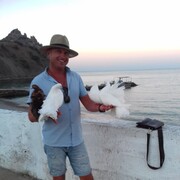 ���������� ��������, ���� ������� �������, 43 ����, ������������ ��� ������, ����� � ���������, c�������� ���������, ���������