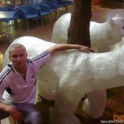 ���������� ������, ���� ������� ���� �������, 37 ���, ������������ ��� ������, ����� � ���������, c�������� ���������