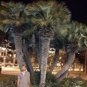 ���������� ����������, ���� ������� ����, 47 ���, ������������ ��� ������, ����� � ���������, c�������� ���������