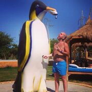 ���������� ������, ���� ������� Maks, 37 ���, ������������ ��� ������, ����� � ���������, c�������� ���������