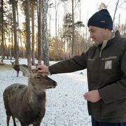 ���������� ������������, ���� ������� �������, 48 ���, ������������ ��� ������, ����� � ���������