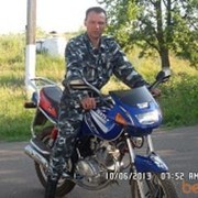  ,  , 53