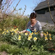 ���������� ��������, ���� ������� �����, 51 ���, ������������ ��� ������, ����� � ���������, c�������� ���������