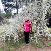  ,   , 58 ,     , c 
