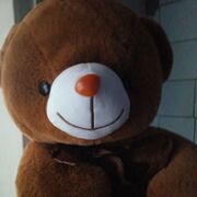 ���������� �����, ����