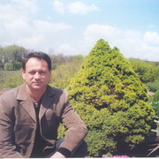  Midlum,  , 57